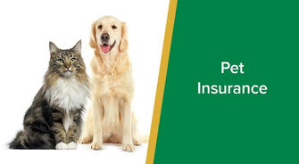 Pet Insurance: Protecting Your Beloved Pet