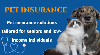 🐾 Pets Need Health Insurance Too: Intimate Protection Designed for Seniors and Low-Income Families
