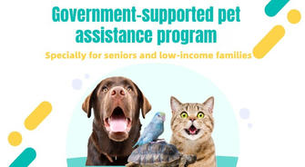 🐾 A Guide to Government-supported Pet Assistance and Low-Cost Insurance in 2025