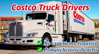 Costco Truck Driver Career Path: A Comprehensive Guide from Novice to Experienced Driver
